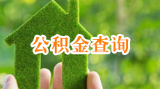公積金查詢